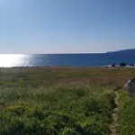 T2 Sanguinaires Calme Et Cosy, Entre Et Maquis Apartamento