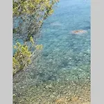 T2 Sanguinaires Calme Et Cosy, Entre Et Maquis Apartamento