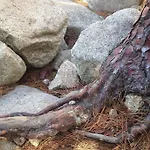 Apartamento T2 Sanguinaires Calme Et Cosy, Entre Et Maquis