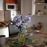 Apartamento T2 Sanguinaires Calme Et Cosy, Entre Et Maquis Ajaccio (Corsica)