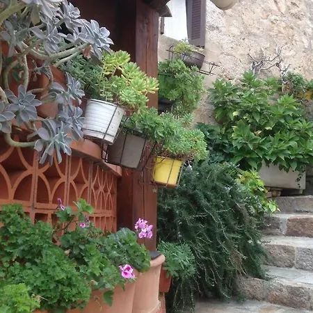 T2 Sanguinaires Calme Et Cosy, Entre Et Maquis * Ajaccio (Corsica)