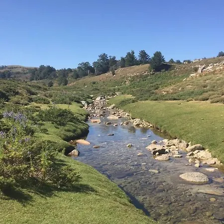 Apartamento T2 Sanguinaires Calme Et Cosy, Entre Et Maquis