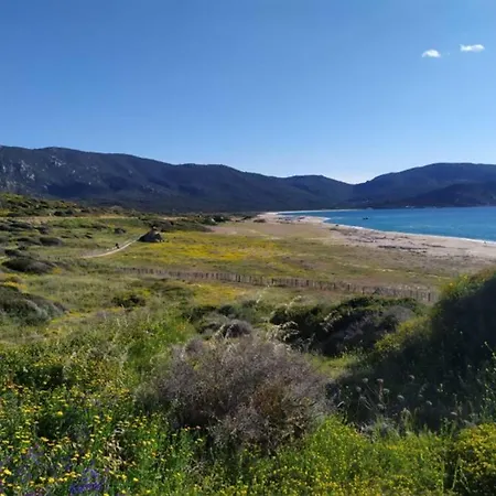 Apartment T2 Sanguinaires Calme Et Cosy, Entre Et Maquis *