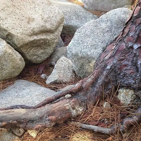 Apartment T2 Sanguinaires Calme Et Cosy, Entre Et Maquis