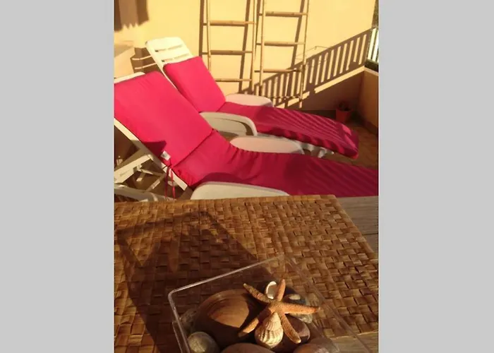 T2 Sanguinaires Calme Et Cosy, Entre Et Maquis *