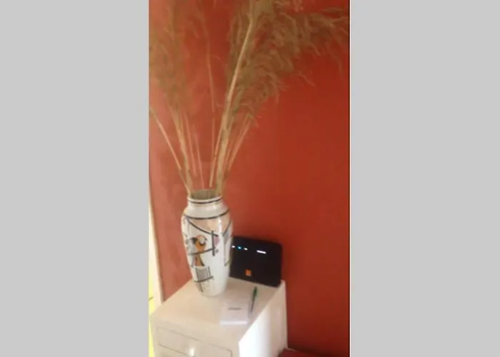 Apartment T2 Sanguinaires Calme Et Cosy, Entre Et Maquis