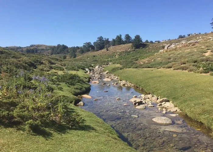 Apartment T2 Sanguinaires Calme Et Cosy, Entre Et Maquis