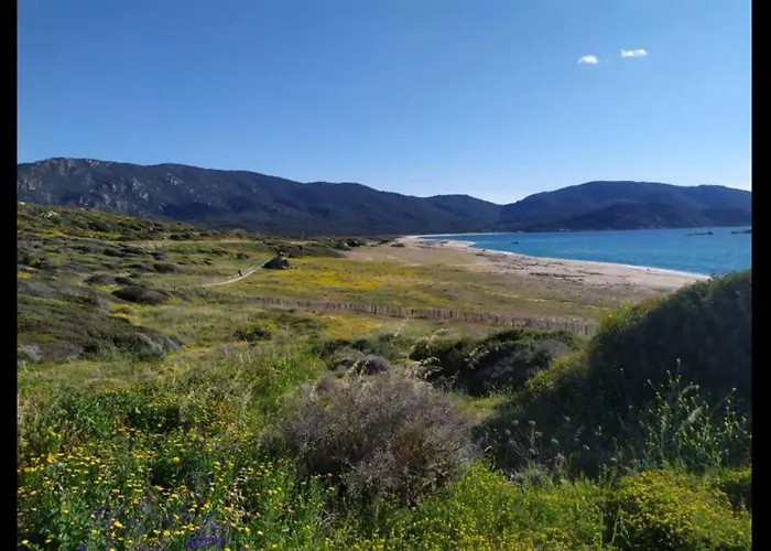 Apartment T2 Sanguinaires Calme Et Cosy, Entre Et Maquis *