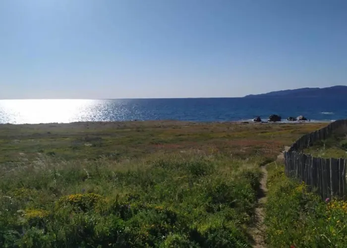 T2 Sanguinaires Calme Et Cosy, Entre Et Maquis Apartment