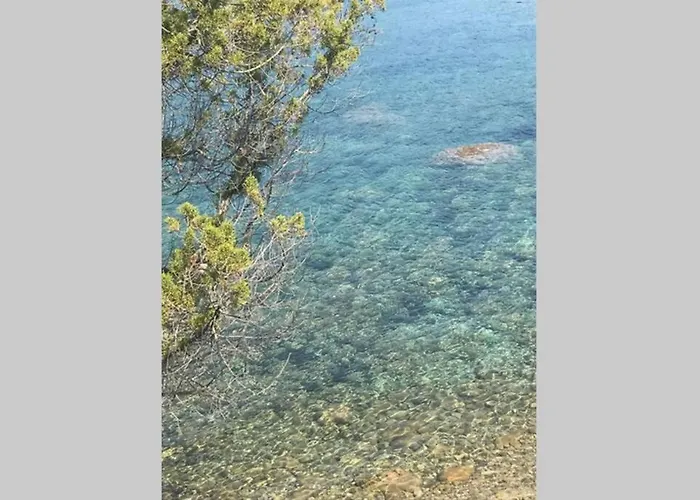 T2 Sanguinaires Calme Et Cosy, Entre Et Maquis Apartment