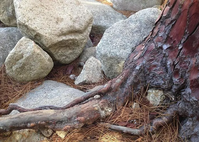 Apartment T2 Sanguinaires Calme Et Cosy, Entre Et Maquis