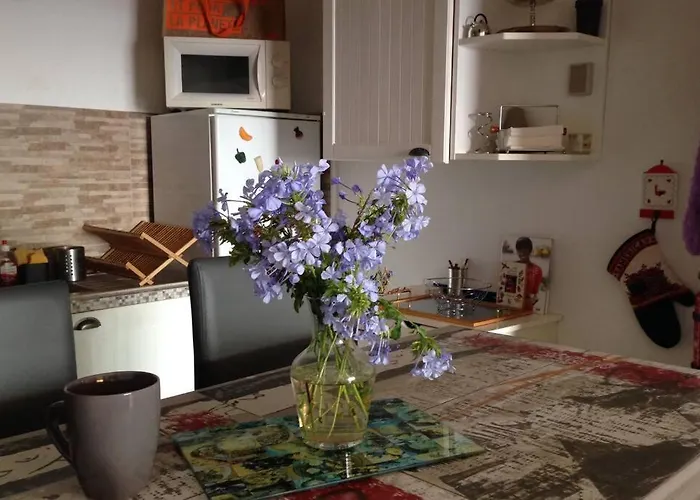 Apartment T2 Sanguinaires Calme Et Cosy, Entre Et Maquis Ajaccio (Corsica)