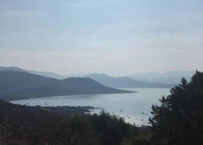 Apartment T2 Sanguinaires Calme Et Cosy, Entre Et Maquis